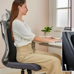 SitWell Spine: Car & Office Chair Lumbar Support Cushion with Soft fabric | 3 second bounce back memory foam